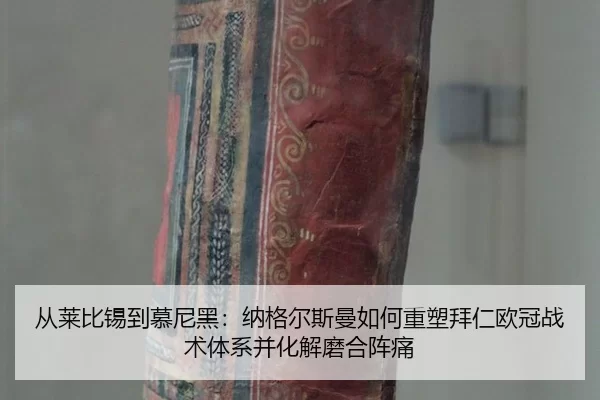 cong-lai-bi-xi-dao-mu-ni-hei-na-ge-er-si-man-ru-he-zhong-su-bai-ren-ou-guan-zhan-shu-ti-xi-bing-hua-jie-mo-he-zhen-tong-3-489.jpg